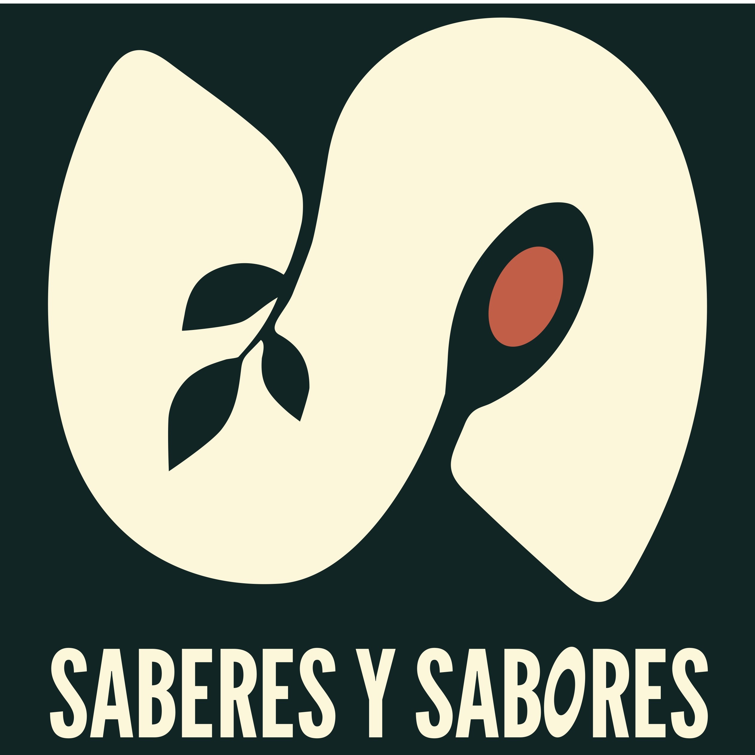 La tienda de Luis